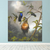 MARTIN JOHNSON HEADE - Plovercrest met zwarte bors Canvas Afdruk (Insitu (Houten vloer))