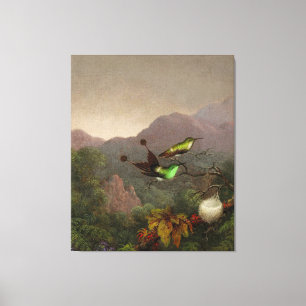 MARTIN JOHNSON HEADE - Racket-Tail, Brazilië - 186 Canvas Afdruk