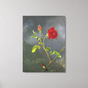 MARTIN JOHNSON HEADE - Rode Roos met Ruby Throat - Canvas Afdruk