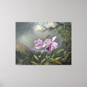 MARTIN JOHNSON HEADE - Studie van een orchidee - 1 Canvas Afdruk