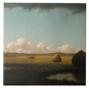 Martin Johnson Heade - Summer Showers Tegeltje