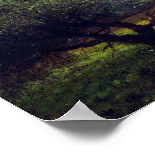 Martin Johnson Heade Sunlight Shadow Newbury Marsh Poster (Hoek)