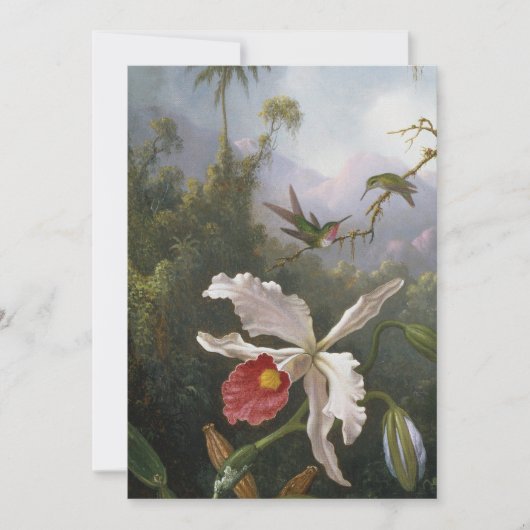 Martin Johnson Heade - Two Hummingbird Feestdagenkaart (Voorkant)