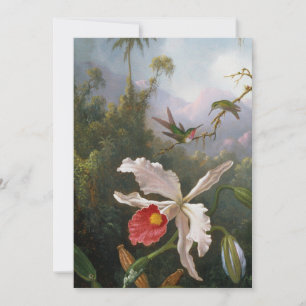 Martin Johnson Heade - Two Hummingbird Feestdagenkaart
