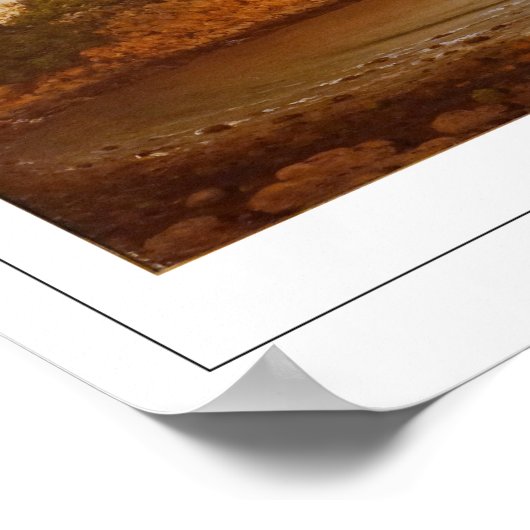 Martin Johnson Heade Zedign Art Poster #102 (Hoek)