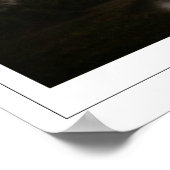 Martin Johnson Heade Zedign Art Poster #104 (Hoek)