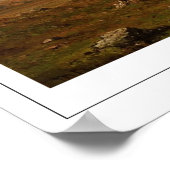 Martin Johnson Heade Zedign Art Poster #113 (Hoek)