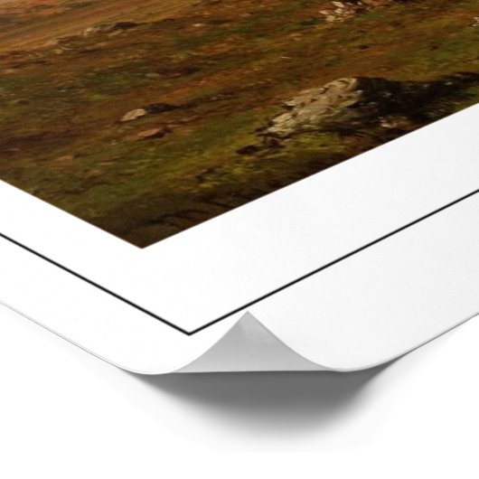 Martin Johnson Heade Zedign Art Poster #113 (Hoek)