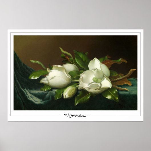 Martin Johnson Heade Zedign Art Poster #12 (Voorkant)