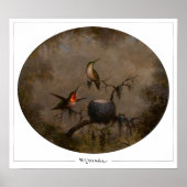 Martin Johnson Heade Zedign Art Poster #131 (Voorkant)