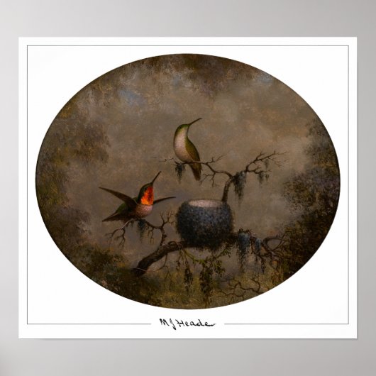 Martin Johnson Heade Zedign Art Poster #131 (Voorkant)