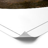 Martin Johnson Heade Zedign Art Poster #131 (Hoek)