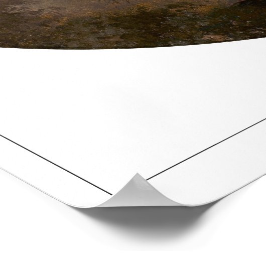 Martin Johnson Heade Zedign Art Poster #131 (Hoek)