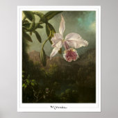 Martin Johnson Heade Zedign Art Poster #2 (Voorkant)
