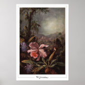 Martin Johnson Heade Zedign Art Poster #202 (Voorkant)