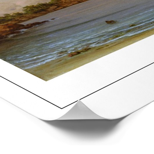 Martin Johnson Heade Zedign Art Poster #207 (Hoek)