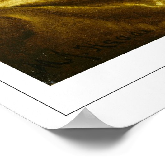 Martin Johnson Heade Zedign Art Poster #27 (Hoek)