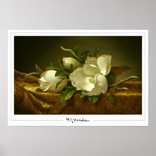 Martin Johnson Heade Zedign Art Poster #27 (Voorkant)