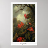 Martin Johnson Heade Zedign Art Poster #36 (Voorkant)