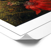 Martin Johnson Heade Zedign Art Poster #36 (Hoek)