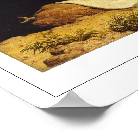 Martin Johnson Heade Zedign Art Poster #40 (Hoek)