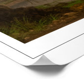 Martin Johnson Heade Zedign Art Poster #56 (Hoek)