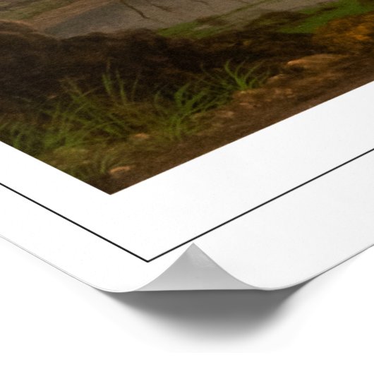 Martin Johnson Heade Zedign Art Poster #56 (Hoek)