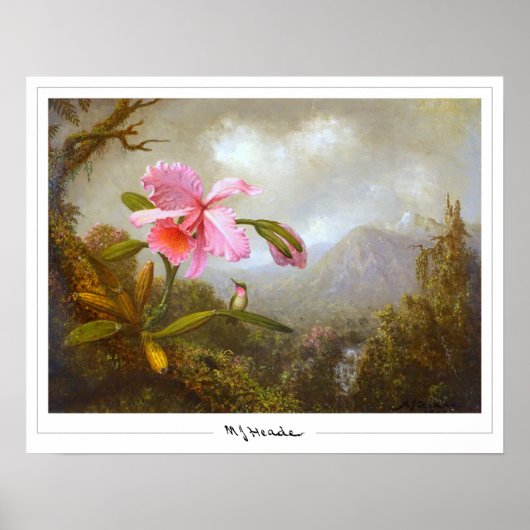 Martin Johnson Heade Zedign Art Poster #8 (Voorkant)