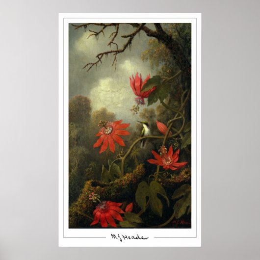 Martin Johnson Heade Zedign Kunstposter #36 Poster (Voorkant)