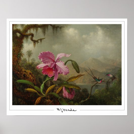 Martin Johnson Heade Zedign Kunstposter #51 Poster (Voorkant)