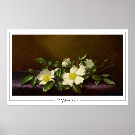 Martin Johnson Heade Zedign Kunstposter #52 Poster (Voorkant)