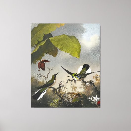 MARTIN JOHNSON HEADE - Zwartoorfee - 1863-64 Canvas Afdruk (Voorkant)