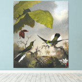 MARTIN JOHNSON HEADE - Zwartoorfee - 1863-64 Canvas Afdruk (Insitu (Houten vloer))