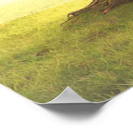 Martin Luther citaat poster (Hoek)