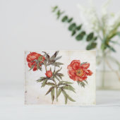 Martin Schongauer: Onderzoek naar volken Briefkaart (Staand voorkant)