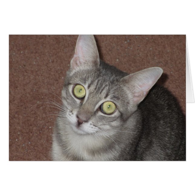 Martini (Voorkant Horizontaal)