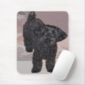 Martini the Yorkie-Poo Muismat (Met muis)