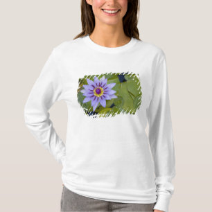 Martinique, Franse Antillen, West-Indië, Blauw T-shirt