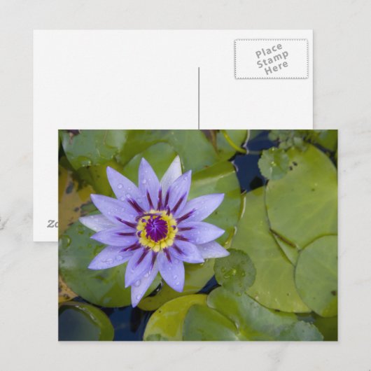 Martinique, Franse Antillen, West Indies, blauw Briefkaart (Voorkant / Achterkant)