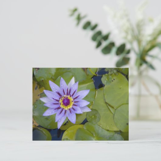 Martinique, Franse Antillen, West Indies, blauw Briefkaart (Staand voorkant)