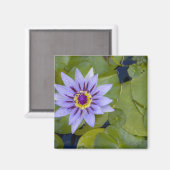 Martinique, Franse Antillen, West Indies, blauw Magneet (Voorkant / Achterkant)