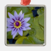 Martinique, Franse Antillen, West Indies, blauw Metalen Ornament (Voorkant)