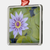 Martinique, Franse Antillen, West Indies, blauw Metalen Ornament (Links)