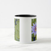 Martinique, Franse Antillen, West Indies, blauw Mok (Midden)