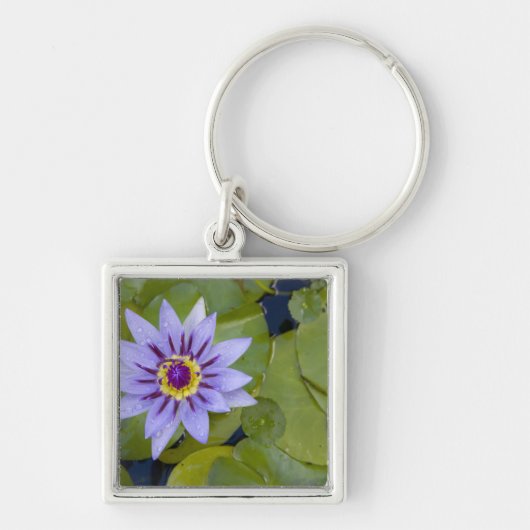 Martinique, Franse Antillen, West Indies, blauw Sleutelhanger (Voorkant)