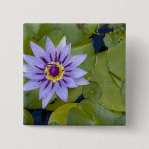 Martinique, Franse Antillen, West Indies, blauw Vierkante Button 5,1 Cm