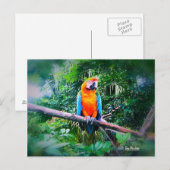 Martinique Macaw Briefkaart (Voorkant / Achterkant)