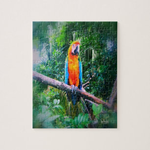 Martinique Macaw Legpuzzel