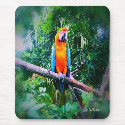 Martinique Macaw Muismat (Voorkant)