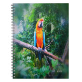 Martinique Macaw Notitieboek (Voorkant)